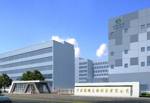 宁波888集团游戏入口