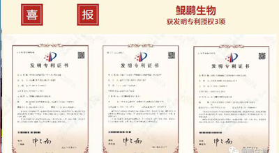 888集团游戏入口生物 | 核心平台技术获得中国发明专利