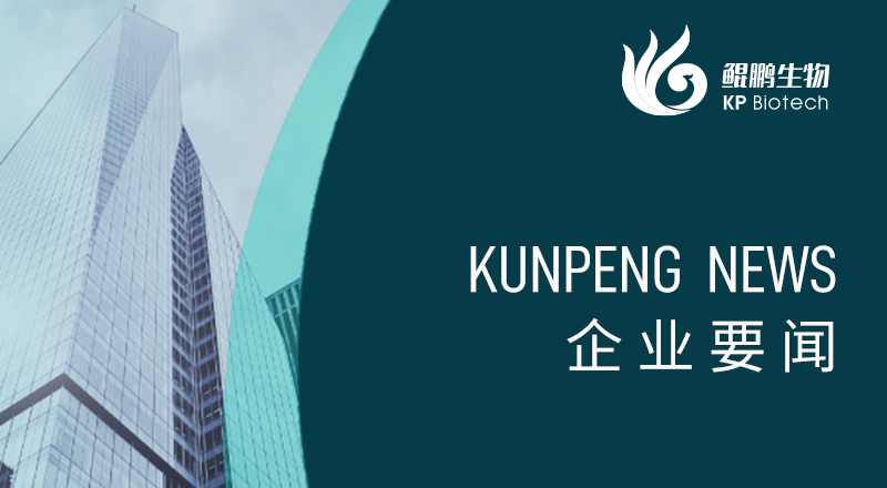 科技引领 &ldquo;兔&rdquo;显创新&mdash;&mdash;宁波888集团游戏入口荣获&ldquo;高新技术企业&rdquo;及&ldquo;创新型中小企业&rdquo;认定