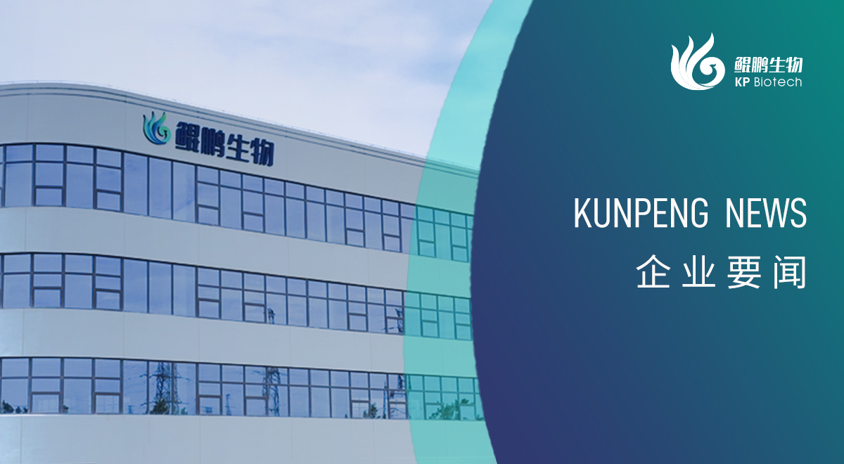 宁波888集团游戏入口新添两项政府荣誉认定 创新发展再获认可